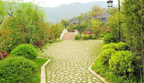 高新技術證書